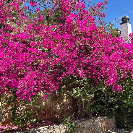Fissi Villas Agritourism Accommodation Near The Sea Agios Nikolaos  Exterior photo